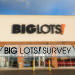 Big Lots Survey