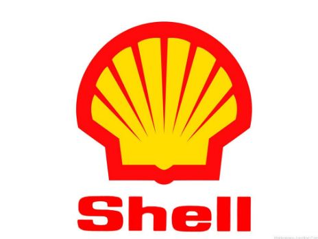 shell survey